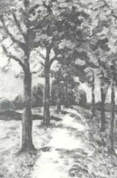 Sunlit Path, Ohio - view 1