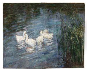 Vier Enten Auf Dem Schwielowsee Bei Baumgartenbruck by Emil Pottner