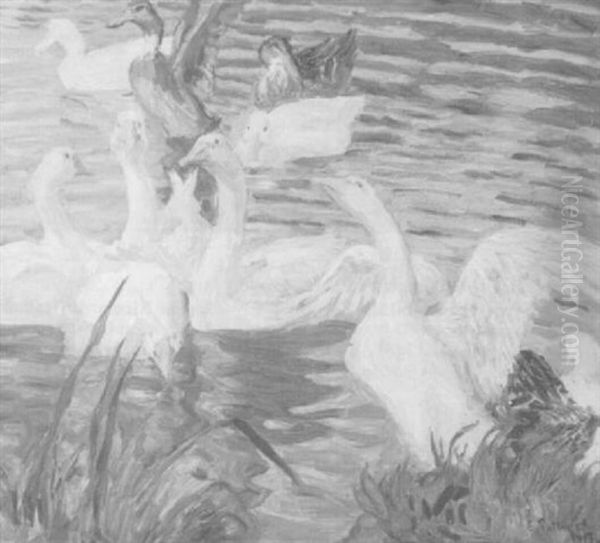 Swans On A Lake - view 1