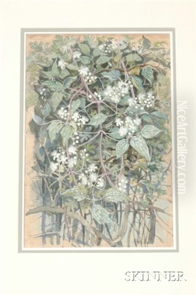Untitled - view 1