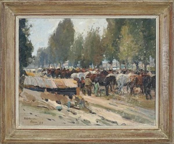 Horses, France - view 1
