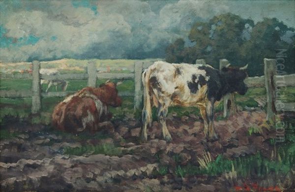 Cattle In A Paddock - view 1