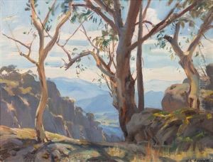 The Gorge, Mount Buffalo The Gorge, Mount Buffalo