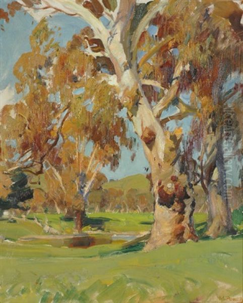 Red Gums By The Waterhole - view 1