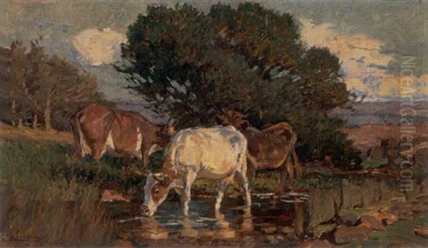 Cows At A Stream - view 1