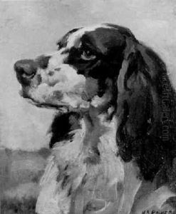 Spaniel
