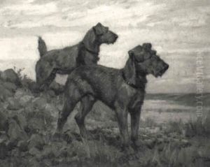Terriers Terriers