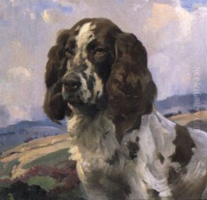 Spaniel Spaniel