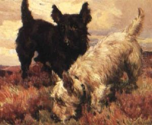 A Pair Of Highland Terries A Pair Of Highland Terries