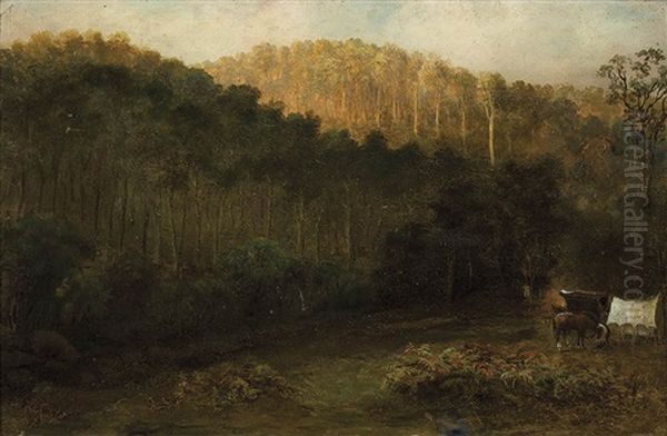 Settler's Camp - view 1