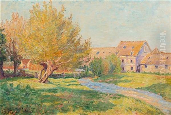 Soliel D'automne - view 1