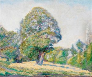 Le Bois D'amour A Pont-aven by Jacinthe Pozier