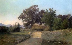 Le Chemin Ensoleille by Jacinthe Pozier