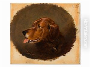 Dog Portrait - Bruce by Alfred F. De Prades