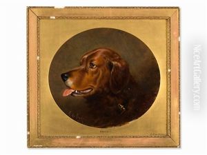 Dog Portrait - Bruce by Alfred F. De Prades