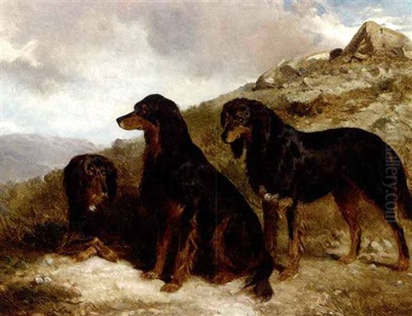 "reuben", "roland" And "rector", Black And Tan Setters In A Highland Landscape - view 1