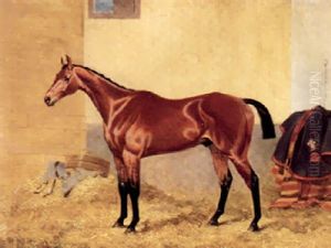 H.r.h. The Prince Of Wales Bay Colt In A Stable by Alfred F. De Prades