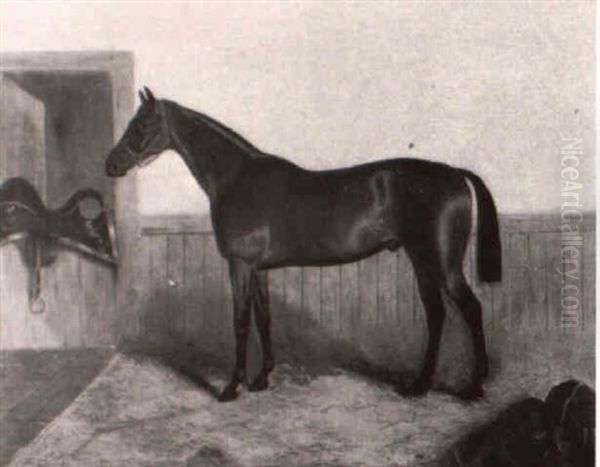 John Clerk, Horse Of The Fourth Dragoon Guards - view 1