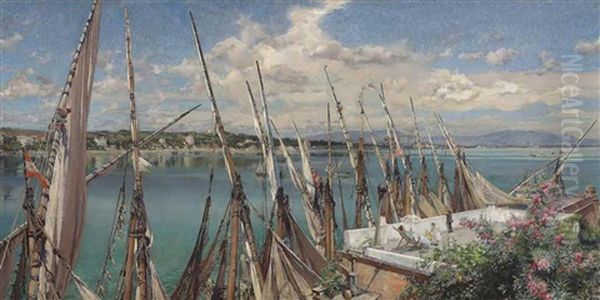 Sails At Porto D'anzio - view 1