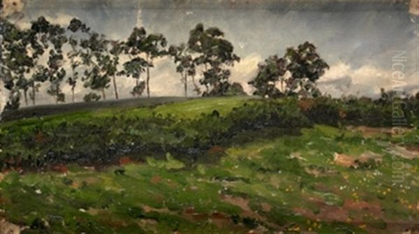 Paisaje De Santander - view 1
