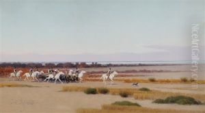 Convoi De Boeufs Sauvages
