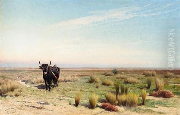 The Camargue - view 1