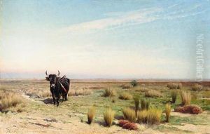 The Camargue
