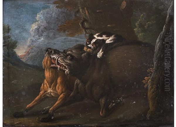 Jagdhunde Im Kampf Mit Einem Eber - view 1
