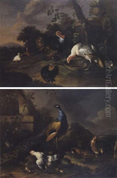 Volatiles Dans Un Paysage - view 1