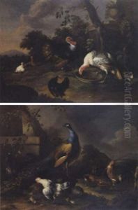 Volatiles Dans Un Paysage Volatiles Dans Un Paysage