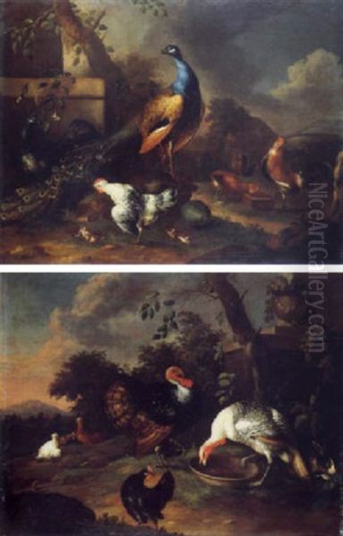 Oiseaux Dans Un Parc - view 1