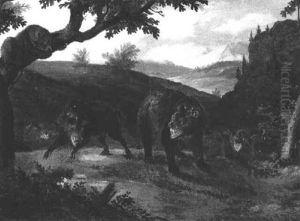 Wildschweine Und Zwei Baren In Einer Bewaldeten Landschaft