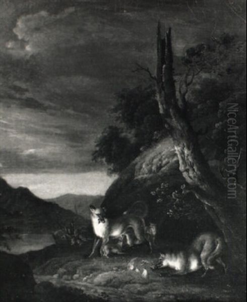 Familie Von Fuchsen In Einer Waldlandschaft - view 1