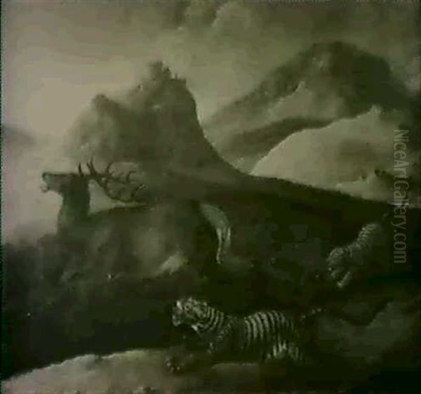 Zwei Tiger Jagen Einen Hirsch - view 1