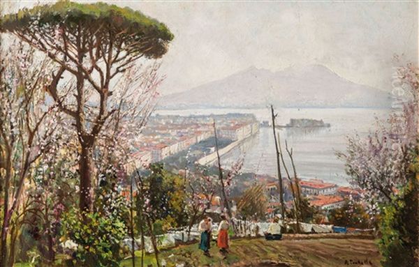 Veduta Di Napoli Da Parco Matarazzo - view 1