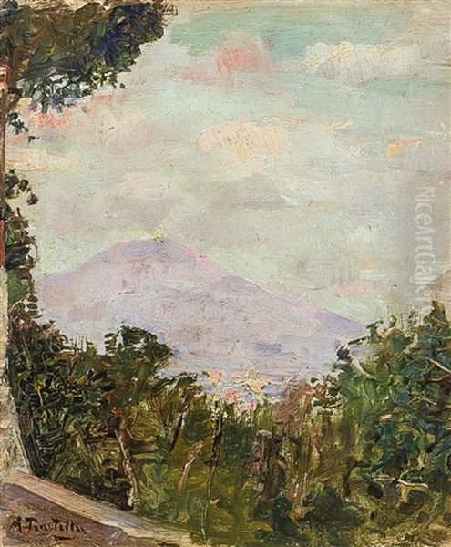 Veduta Del Vesuvio - view 1