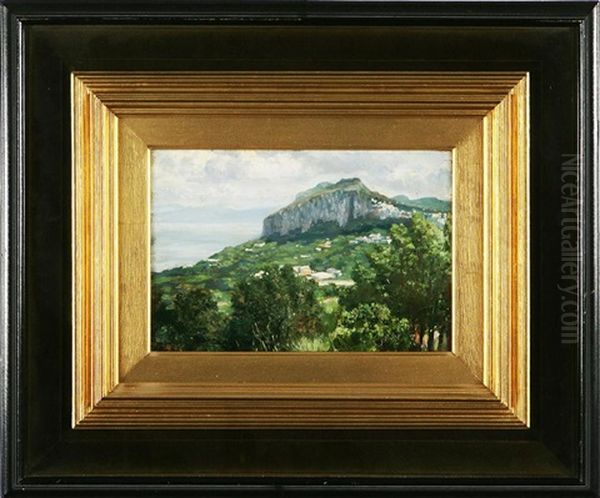 Impressioni Di Capri - view 1