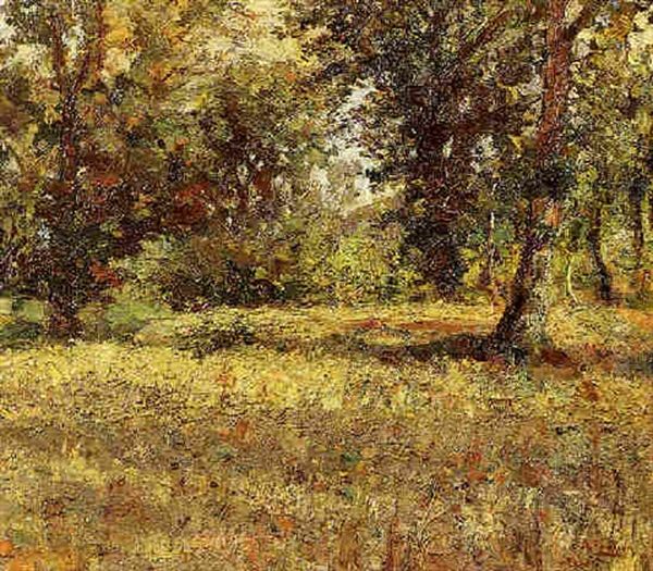 Bosco - view 1