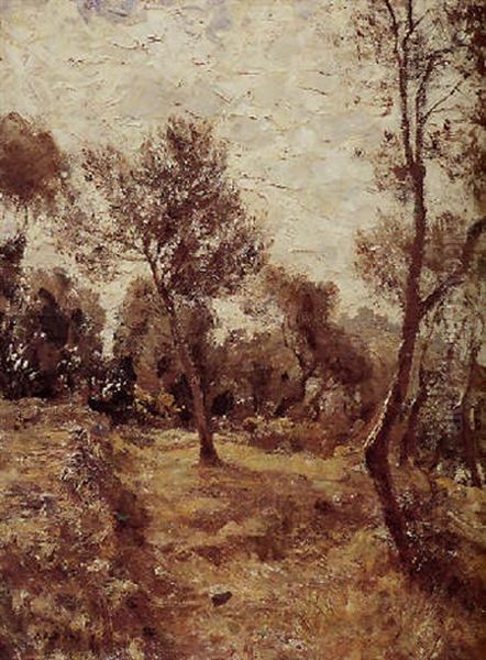 Ulivi Di Capri - view 1