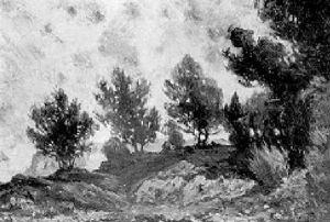 Paesaggio Con Alberi A Capri by Attilio Pratella
