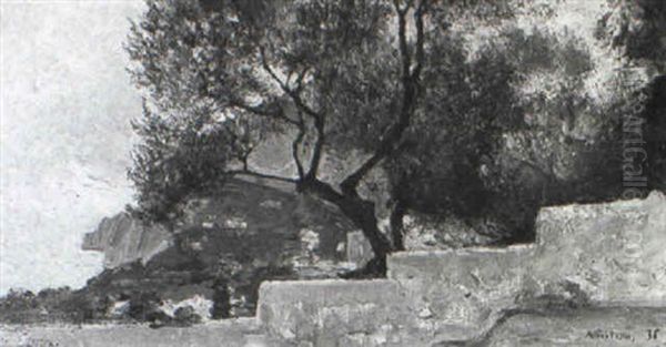 Scorcio Dell'isola Di Capri - view 1