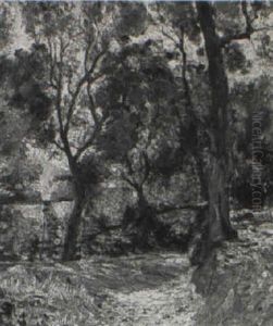 Effetti Di Luce A Capri by Attilio Pratella
