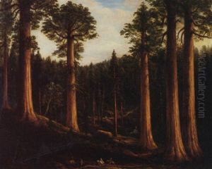 California Redwoods by Henry Cheever(s) Pratt