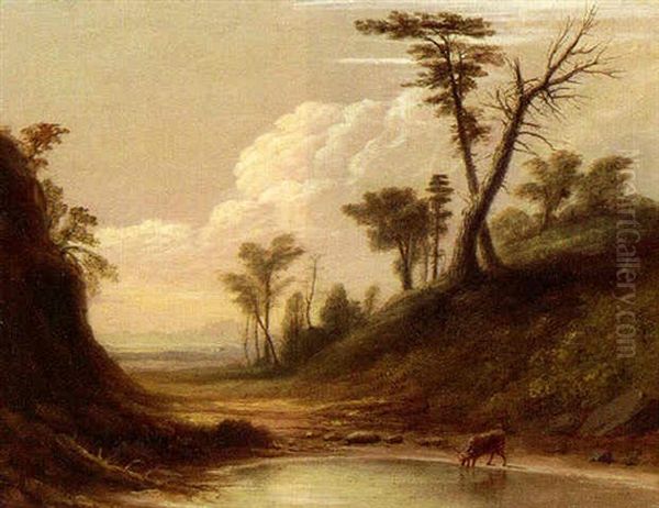 Cow Drinking At The Stream - view 1
