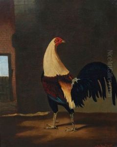 Rooster