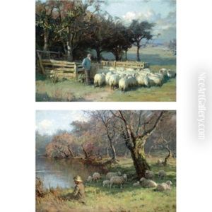 Into The Fold (+ The Shepherd Boy; 2 Works) Into The Fold (+ The Shepherd Boy; 2 Works)