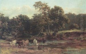 Cattle Crossing A River Cattle Crossing A River