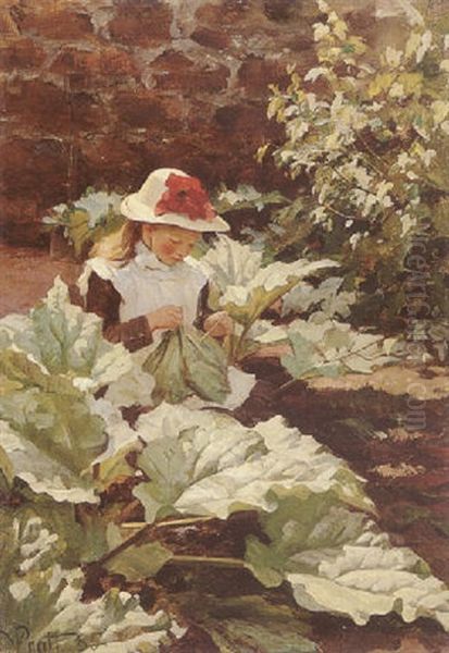 In The Rhubarb Patch - view 1