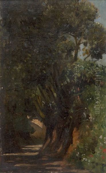 Waldweg - view 1