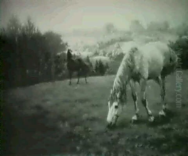Horses In A Pasture; Early Morning, Autumn - view 1